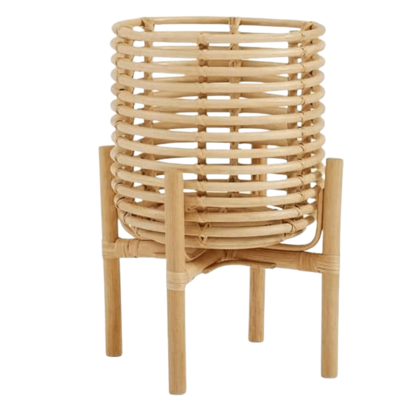 tray (10)